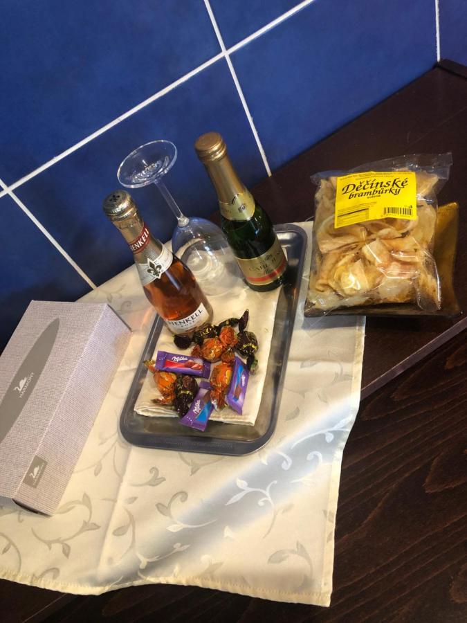 Ubytovani V Soukromi Rodinne Vily V Decine 외부 사진